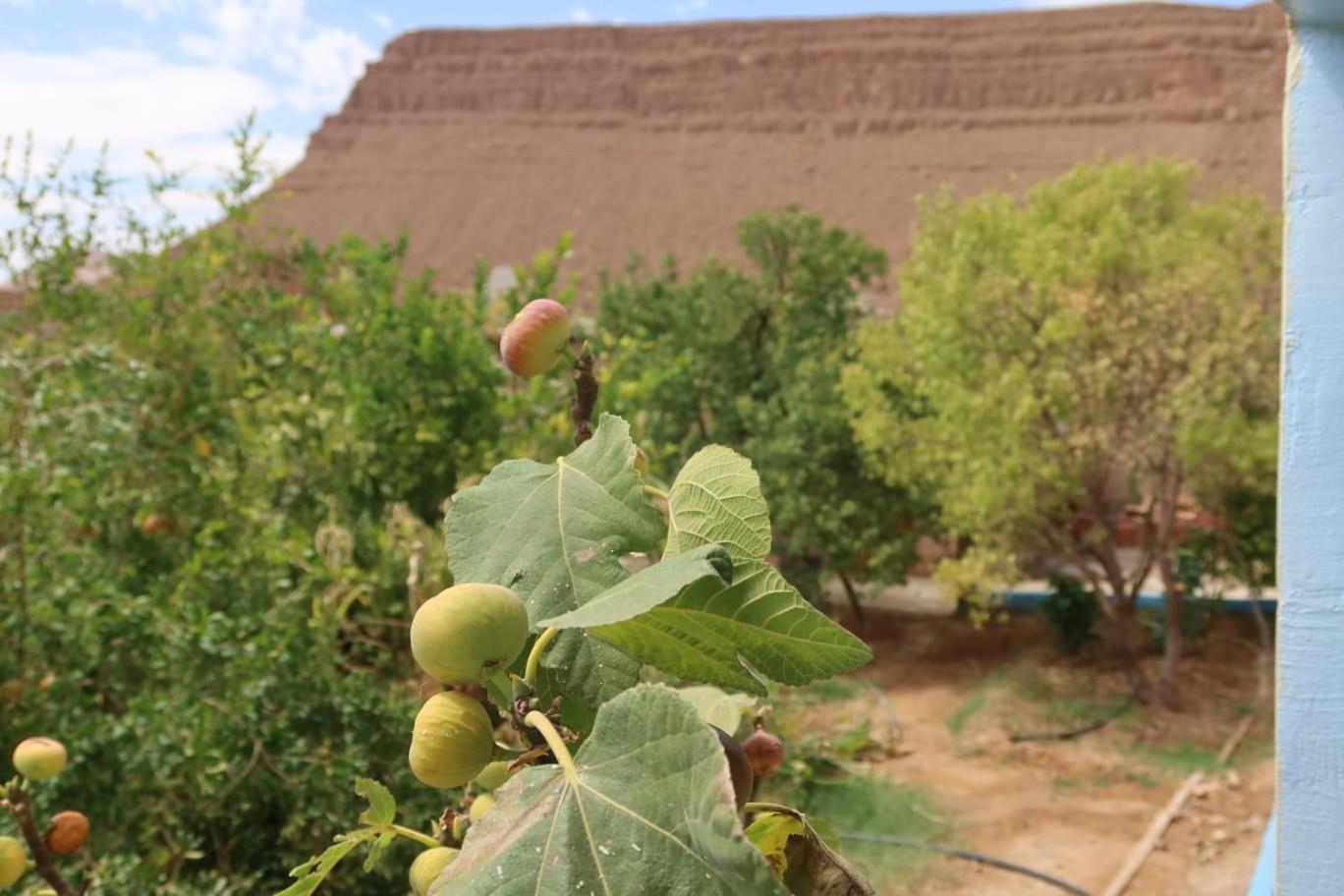 Gite D'Etape Ziz Oasis Achbarou Buitenkant foto