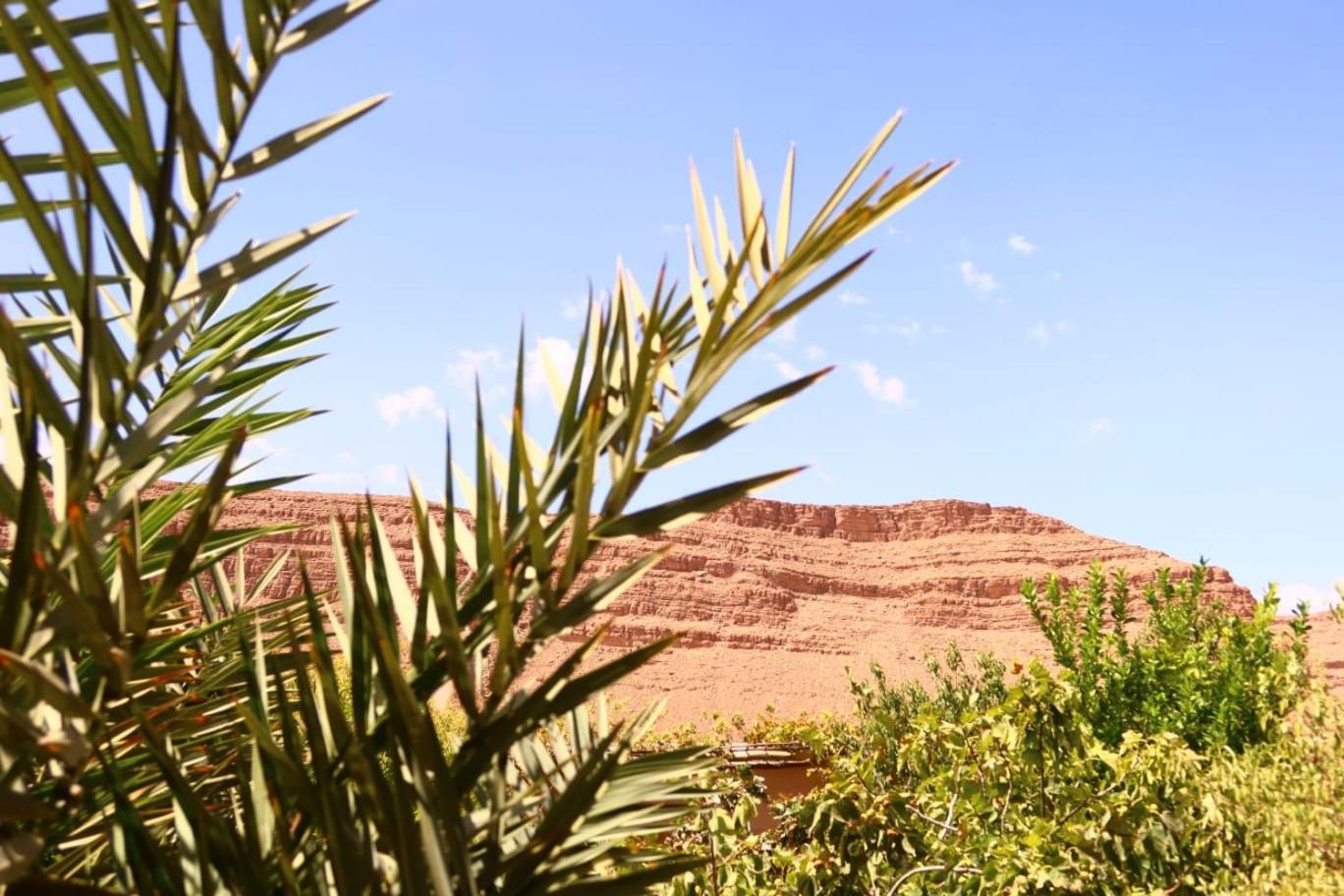 Gite D'Etape Ziz Oasis Achbarou Buitenkant foto