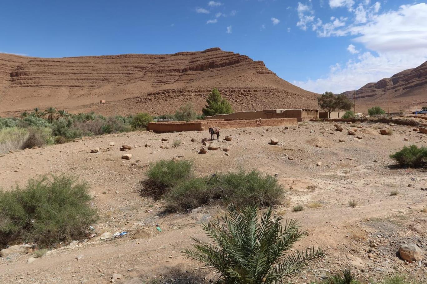 Gite D'Etape Ziz Oasis Achbarou Buitenkant foto