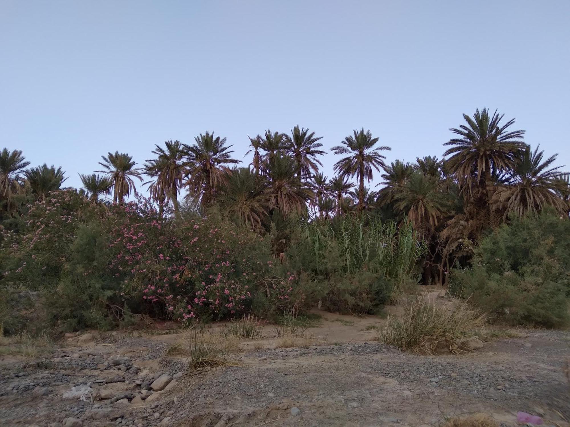 Gite D'Etape Ziz Oasis Achbarou Buitenkant foto