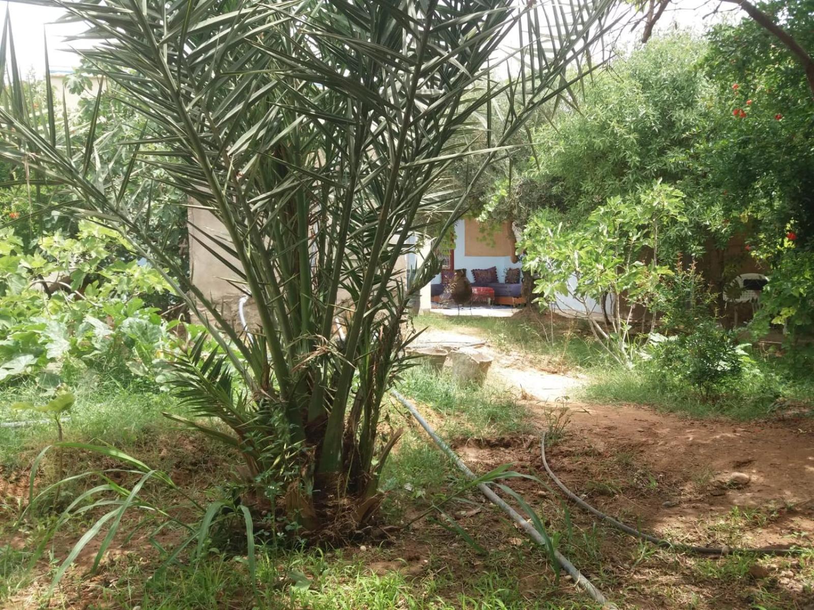 Gite D'Etape Ziz Oasis Achbarou Buitenkant foto